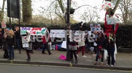 Rally in London for the dolphins in Taiji.