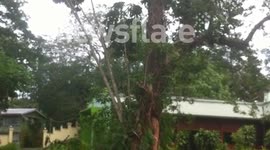 Tropical Cyclone Evans - Fiji, Suva
