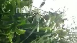 Cyclone Evans - Fiji Islands, Sigatoka.