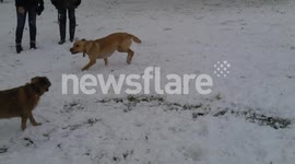Snowfall in Bristol Fri 18-01-2013
