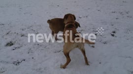 Snowfall in Bristol Fri 18-01-2013