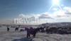 Beautiful Disruption - DARTMOOR IN THE SNOW