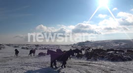 Beautiful Disruption - DARTMOOR IN THE SNOW