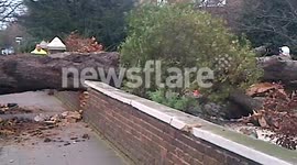 Strong gust causes damage