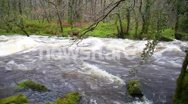 fast flooded river dart, dartmoor, devon