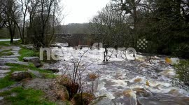 River Dart,bursting its banks, Dartmoor, Devon ,Uk