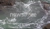 sea bird with catch  cormorant under threat  by anglian trust uk