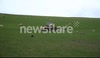 Schmallenberg disease ,NSA urges sheep farmers to fill in lambing survey The long awaited lamb survey uk