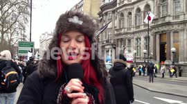 Taiji Dolphin Protest