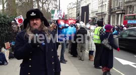 Dolphin Protestor
