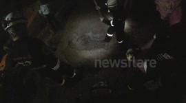 Puppy Rescue out a drain