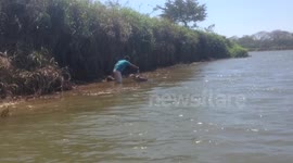 Man Feeds Giant Crocodile