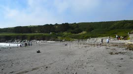 Bank holiday, Bad weather breaks for a few hours in devon and people rush to the beach