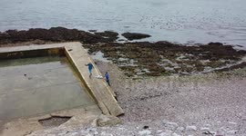 Local children rounding up the stranded fish in Plymouth devon