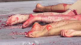 Animal rights activists fake death in Santiago, Chile