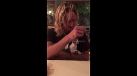 Hot man plays with adorable kitten at cafe in Costa Rica
