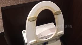 Not so clean Japanese Starbucks toilet