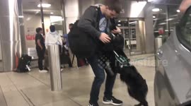 US airman reunites with dog after two years apart