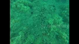 Got a little to close to this eel!