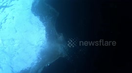 Under water Buble rings 240fps