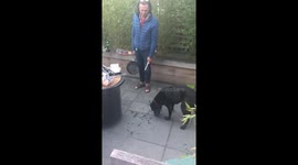 First BBQ of Summer and Oscar the dog is cleaning up the crumbs!