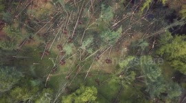 Aerial drone footage shows Connecticut storm damage