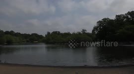 Birds at Hollow pond, Leytonstone, London, UK