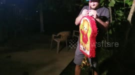 Happy birthday Pinata