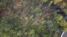 Aerial drone footage shows Connecticut storm damage