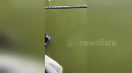 Newsflare Edit - Passing tourist rescues drowning eight-year-old boy