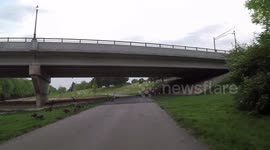 Almost running over goslings (Canada Goose) while cycling