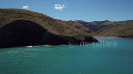 Furseal playing in the water at the rocks