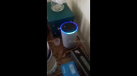 'Racist' Alexa can't understand sweary Glaswegian woman