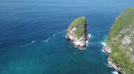 Manta Rays in the bay of Kelingking beach, Bali, Indonesia