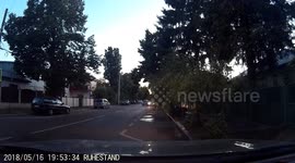 dashcam - close call