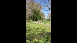 Child Girl First Time on the Bike in the Park