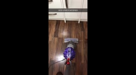 The most staisfying hoover ever