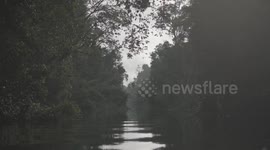 Silently cruising down river in forest, Kinabatangan River Sabah Borneo Malaysia