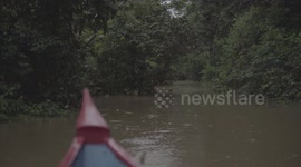 On a boat cruising down the Kinabatangan River, Sabah Borneo Malaysia