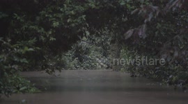 Cruising down the river in the Kinabatangan Rainforest, Sabah Borneo Malaysia
