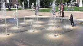 Dog Plays In A Fountain By