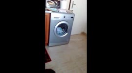 Ronny the cat jumping game