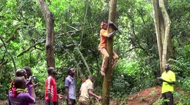 SURVIVAL OF THE FITTEST