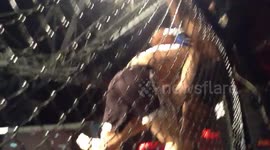 Kayo Codie Payne in an all out MMA war with Youting Hong