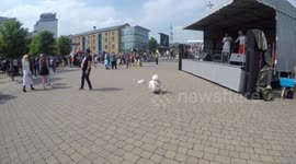 'Star Wars' droid BB-8 dances at 2018 MCM London Comic Con