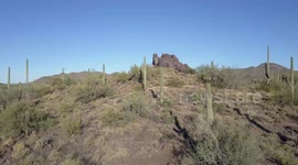 Saguaro Cactus Aerial Footage In Sonoran Desert 3
