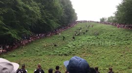 Cheese rolling gets underway in Gloucestershire
