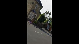 Massive swarm of Flies!