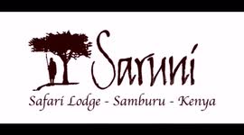 Exploring Samburu: A luxury safari game drive with Saruni Samburu in Kenya