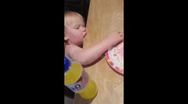 Little girl falls asleep eating dinner